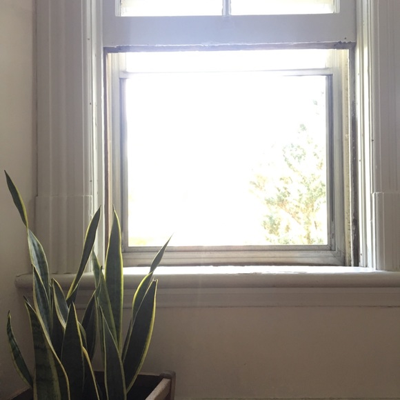 Meet your ⭐️POSH AMBASSADOR⭐️, Laurel & Fox - Picture 1 of 1